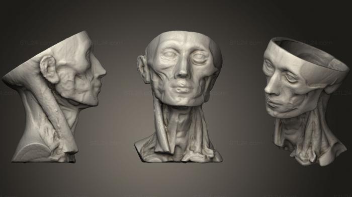 Бюсты монстры и герои (Анатомия головы человека, BUSTH_0666) 3D модель для ЧПУ станка